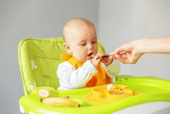 cadeira de alimentação para bebê